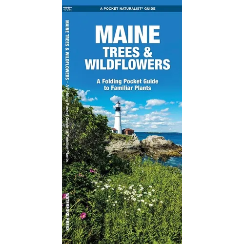 Maine Trees & Wildflowers: A Folding Pocket Guide to Familiar Plants - Hardcover