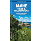 Maine Trees & Wildflowers: A Folding Pocket Guide to Familiar Plants - Hardcover