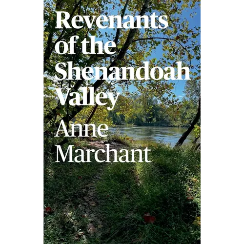 Revenants of the Shenandoah Valley - Paperback