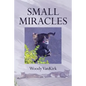 Small Miracles - Paperback