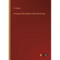 A Popular Description of the Human Eye - Paperback