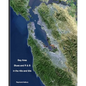BAY AREA BLUES AND R & B IN THE 40s AND 50s - Paperback
