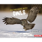 On the Hunt with Owls - Library Binding