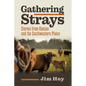Gathering Strays: Stories from Kansas and the Southwestern Plains - Paperback