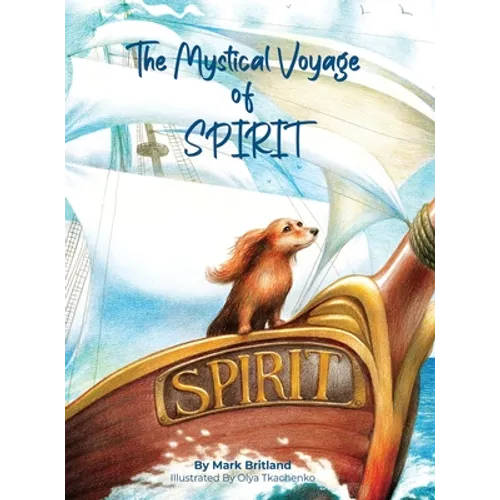 The Mystical Voyage of Spirit - Hardcover