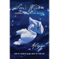 Seer's Wisdom: Guidance for Spiritual Mastery - Paperback