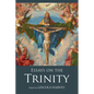 Essays on the Trinity - Hardcover
