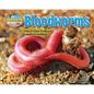 Bloodworms and Other Wriggly Beach Dwellers - Library Binding