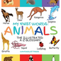My First Words: The Illustrated A-Z Glossary Of The Animal Kingdom For Preschoolers - Hardcover