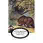 Little Brother to the Bear - Hardcover