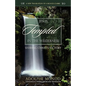 Jesus Tempted in the Wilderness: Sharing Christ's Victory - Paperback