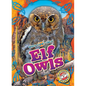 Elf Owls - Library Binding