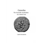 Ganesha: The Scientific Symbolism of a Hindu God - Paperback