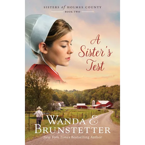 A Sister's Test: Volume 2 - Paperback