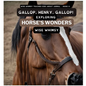 Gallop, Henry, Gallop!: Exploring Horse's Wonders - Hardcover