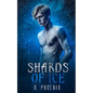 Shards of Ice: An M/M Retelling of 'The Snow Queen' - Paperback