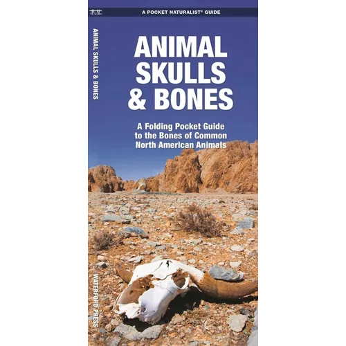 Animal Skulls & Bones: A Laminated Folding Guide to the Bones of Common North American Animals