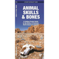 Animal Skulls & Bones: A Laminated Folding Guide to the Bones of Common North American Animals