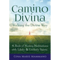 Camino Divina--Walking the Divine Way: A Book of Moving Meditations with Likely and Unlikely Saints - Hardcover