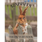 Rabbits: The Picture Book of Cute Rabbits Perfect Gift for Patients, Seniors & Dementia - Paperback
