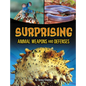 Surprising Animal Weapons and Defenses - Hardcover