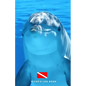 Diver's Log Book: scuba diving log book 100 dives - Paperback