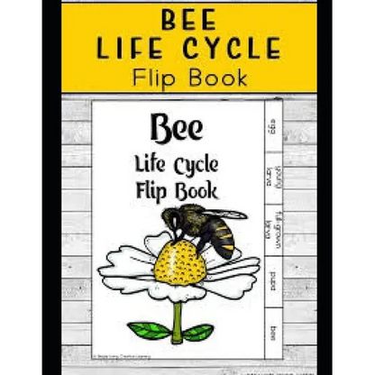 Life Cycle of Bees - Paperback