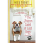 The Patron Saint of Lost Dogs - Paperback