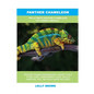 Panther Chameleon: The Ultimate Panther Chameleon Pet Owner's Manual - Paperback