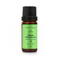 Bade Natural Nioli Essential Oil: 100% Pure Melaleuca Viridiflora Leaf Oil for Natural Skincare, Sebum Balance & Enhanced Focus (10ml)