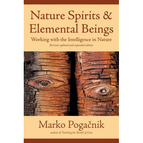 Nature Spirits & Elemental Beings: Working with the Intelligence in Nature - Paperback