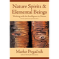 Nature Spirits & Elemental Beings: Working with the Intelligence in Nature - Paperback