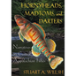 Hornyheads, Madtoms, and Darters: Narratives on Central Appalachian Fishes - Paperback