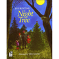 Night Tree - Hardcover