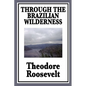 Through the Brazilian Wilderness: Or My Voyage Along the River of Doubt - Paperback