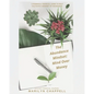 The Abundance Mindset: Mind Over Money - Paperback