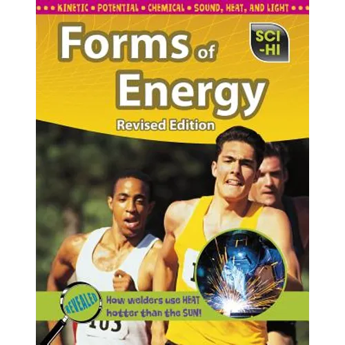 Forms of Energy - Paperback