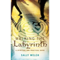 Walking the Labyrinth: A Spiritual and Practical Guide - Paperback