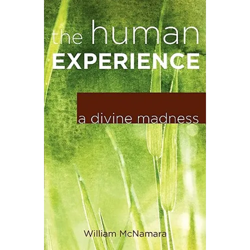 The Human Experience: A Divine Madness - Paperback