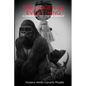 The Origen of Everything - Paperback