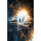 Inverse Gravity Cosmology: The mathematics, success, and failure of a journey in theoretical physics - Paperback