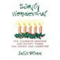 Simply Wonderful: Five Children's Sermons and Activity Pages for Advent and Christmas - Paperback