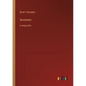 Seventeen: in large print - Paperback