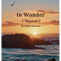 In Wonder ("Hayret") - Hardcover
