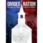 Divided Nation: Cultures in Chaos & a Conflicted Church - Hardcover