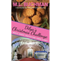 Dilya's Christmas Challenge: a White House Protection Force story - Paperback