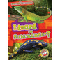 Lizard or Salamander? - Library Binding
