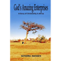 God's Amazing Enterprises: A Story of Christianity in Africa - Paperback