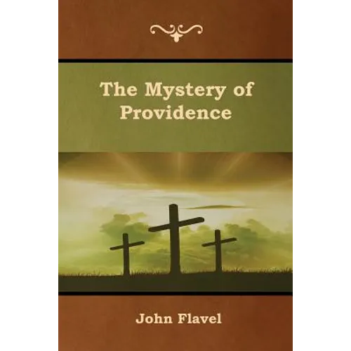 The Mystery of Providence - Paperback