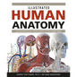 Illustrated Human Anatomy: The Authoritative Visual Guide to the Human Body - Hardcover